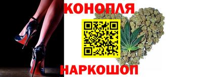 крисы Краснознаменск