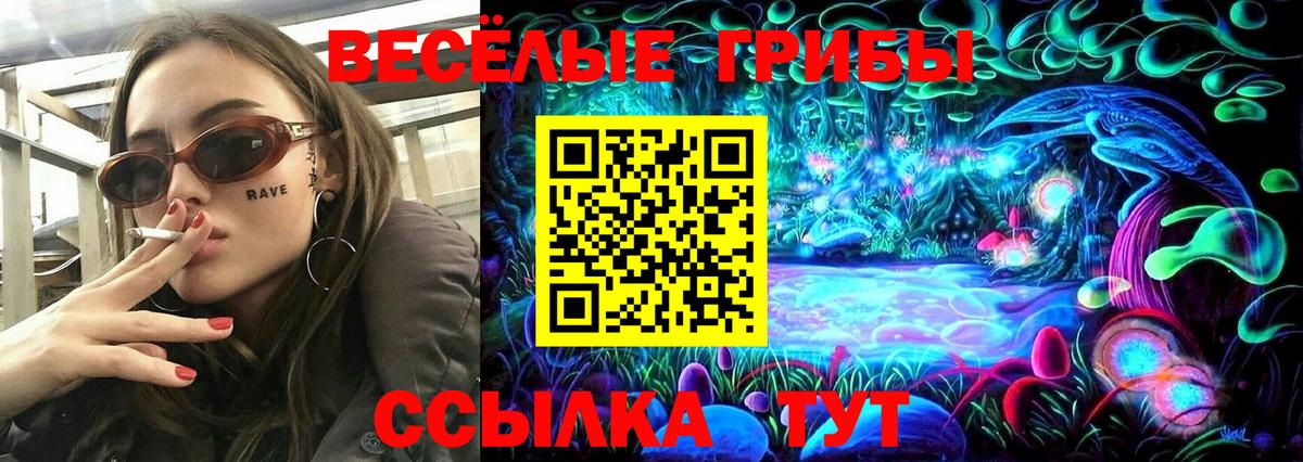 Псилоцибиновые грибы Magic Shrooms  Вход с VPN  Псилоцибиновые грибы MAGIC MUSHROOMS  Усть-Илимск 