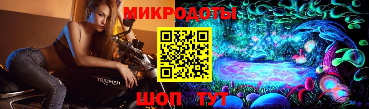 Псилоцибиновые грибы Psilocybe Усть-Илимск